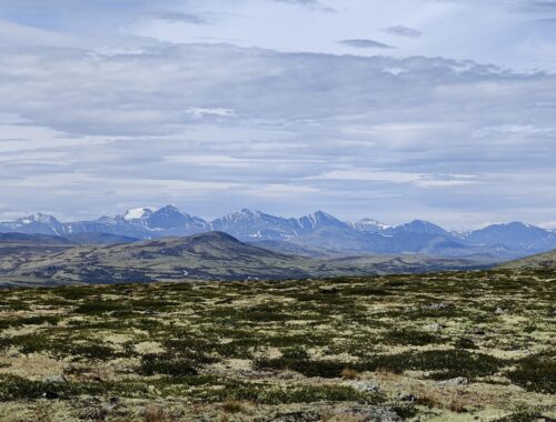 MTB Festival Aldval Norge