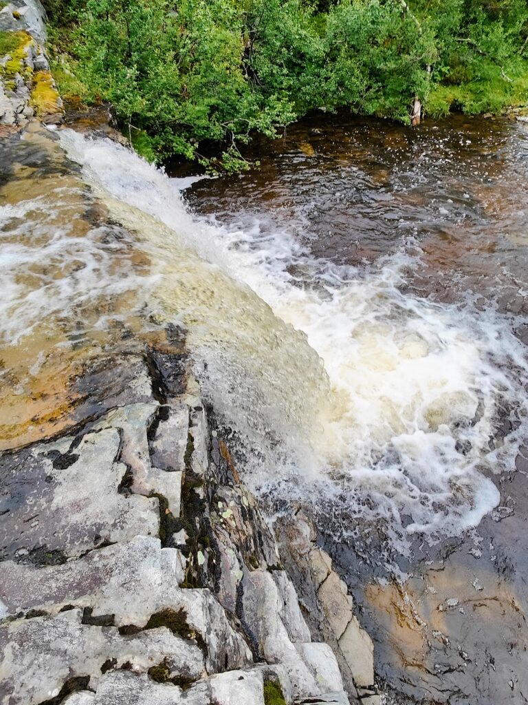 Livsäterån Funäsdalen